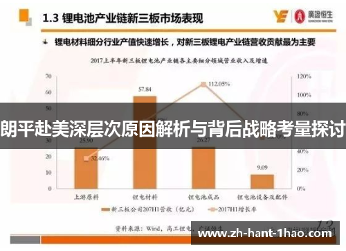 朗平赴美深层次原因解析与背后战略考量探讨