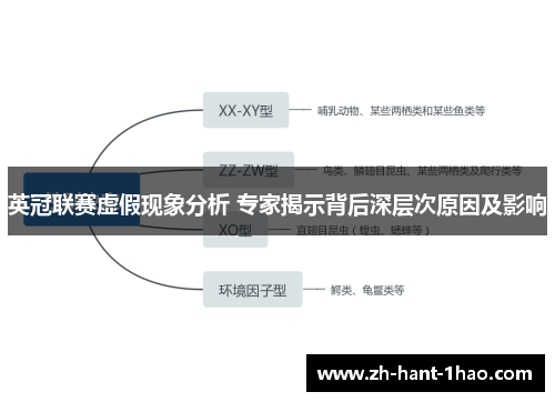 英冠联赛虚假现象分析 专家揭示背后深层次原因及影响