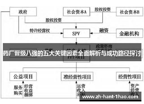 药厂晋级八强的五大关键因素全面解析与成功路径探讨