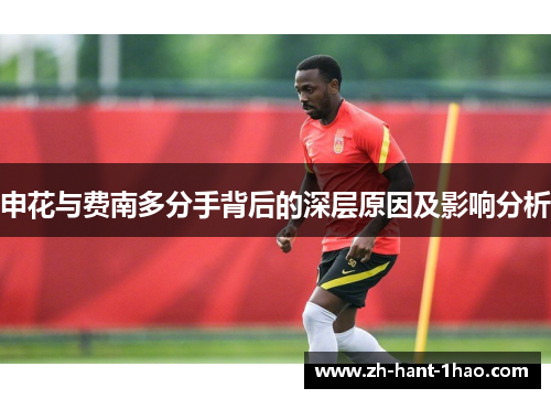 申花与费南多分手背后的深层原因及影响分析