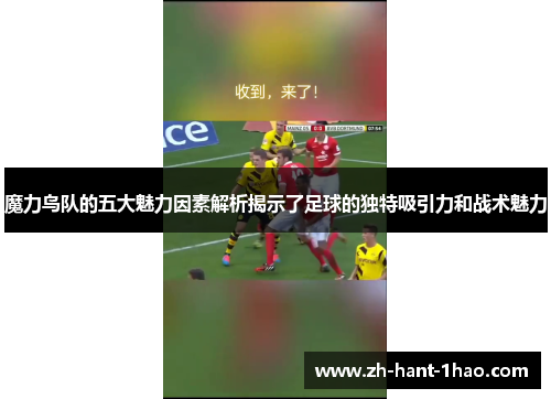 魔力鸟队的五大魅力因素解析揭示了足球的独特吸引力和战术魅力 魔力鸟队的五大魅力因素解析揭示了足球的独特吸引力和战术魅力