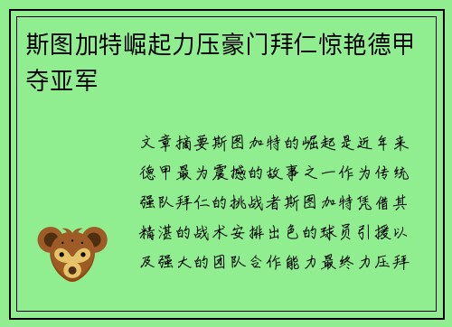 斯图加特崛起力压豪门拜仁惊艳德甲夺亚军